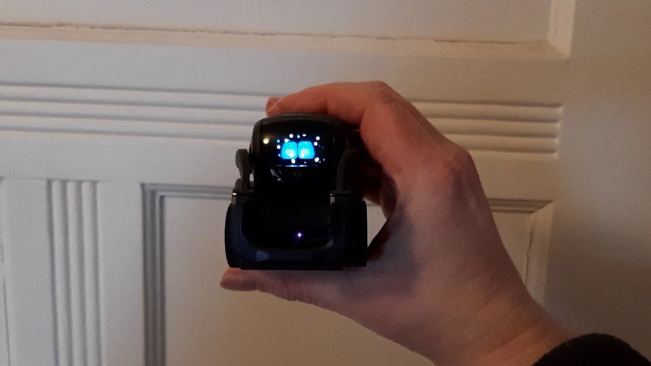 OSKR Vector Snowglobe Animation Thedroidyouarelookingfor